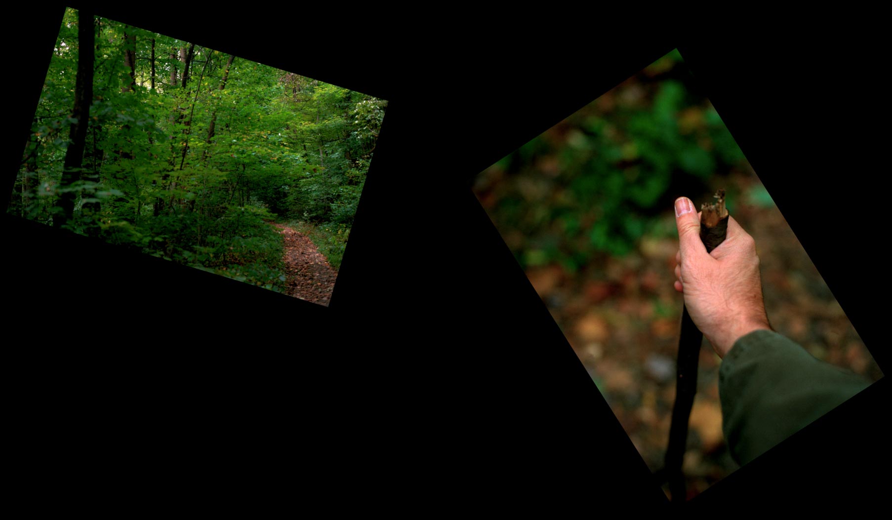  "Hiking, Ohio Pyle", 1991, © Lewis Rogers, Contemporary Art Photography,  Contemporary Photography, Color Film Photography, 20th Century Photography, Photo-Sequence, Diptych Photography, Polyptych Photography,Triptych Photography, Postmodern Photography, 1990’s Photography, Constructivism Photography
