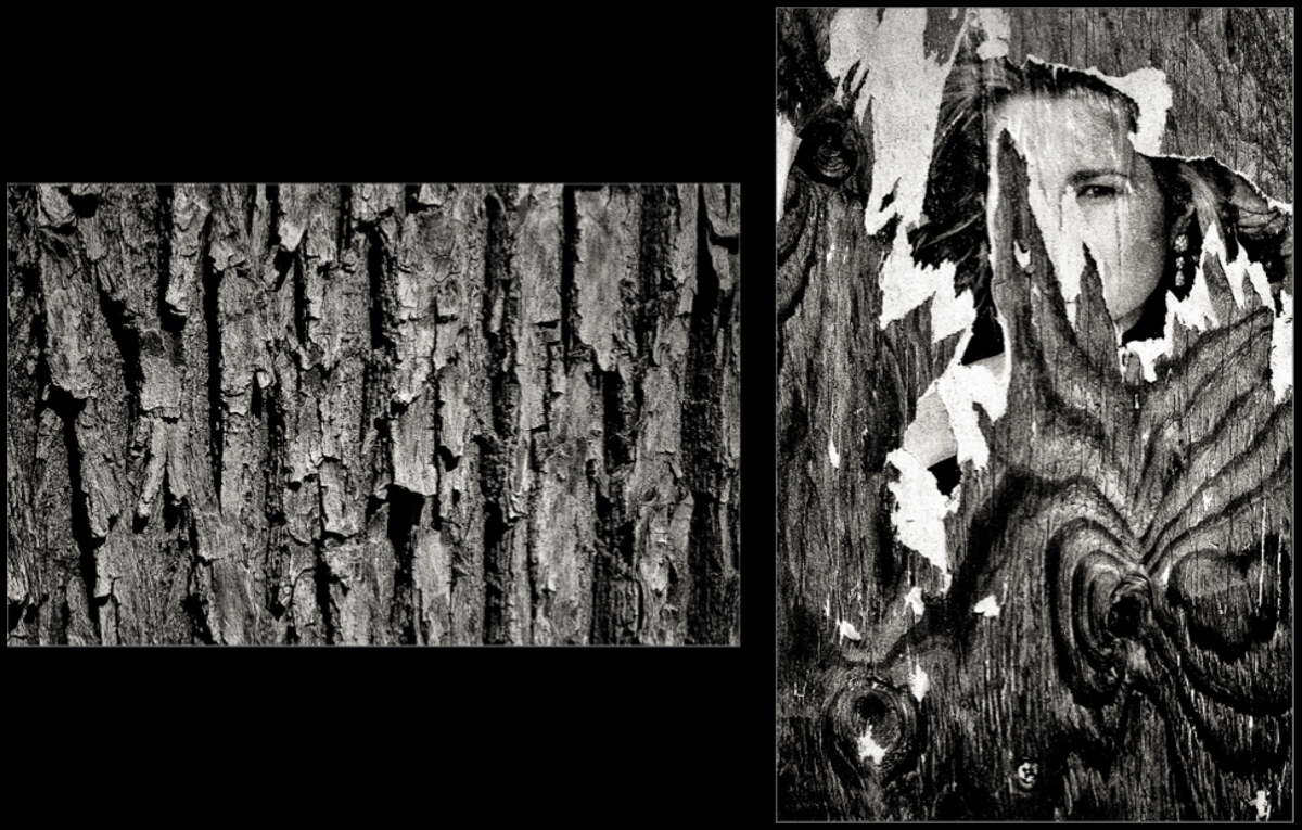 "Wood to Man". 1998, © Lewis Rogers, Contemporary Art Photography,  Contemporary Photography, Black & White Film Photography, 20th Century Photography, Photo-Sequence, Diptych Photography, Polyptych Photography, Modern Art Photography, 1990’s Photography, Photography, Visual Memories Series